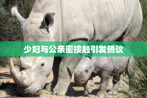 少妇与公亲密接触引发热议