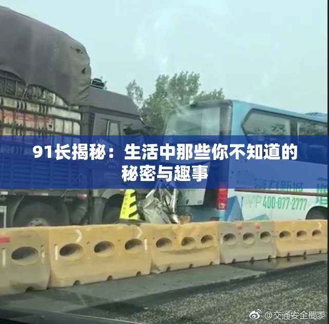 91长揭秘：生活中那些你不知道的秘密与趣事