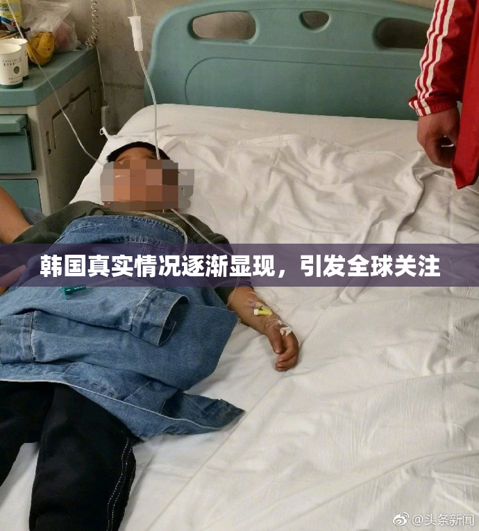 韩国真实情况逐渐显现，引发全球关注