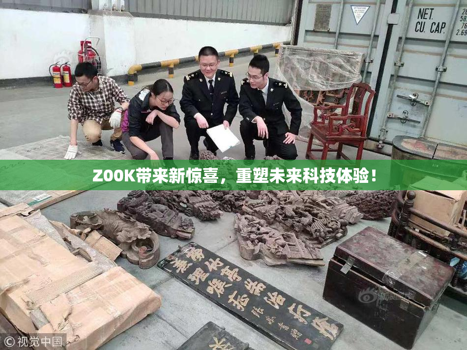 Z00K带来新惊喜，重塑未来科技体验！