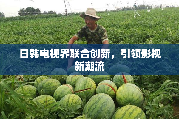 日韩电视界联合创新，引领影视新潮流