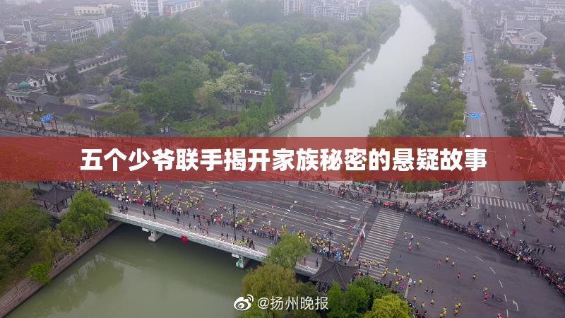 五个少爷联手揭开家族秘密的悬疑故事