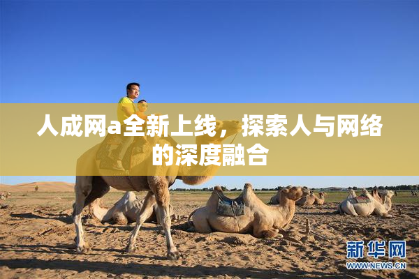 人成网a全新上线，探索人与网络的深度融合