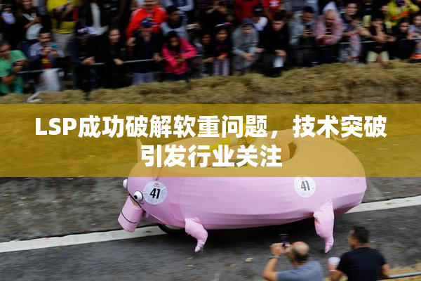 LSP成功破解软重问题，技术突破引发行业关注