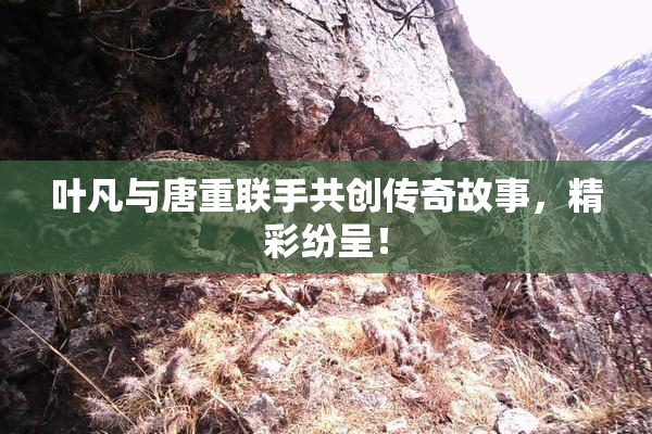 叶凡与唐重联手共创传奇故事，精彩纷呈！