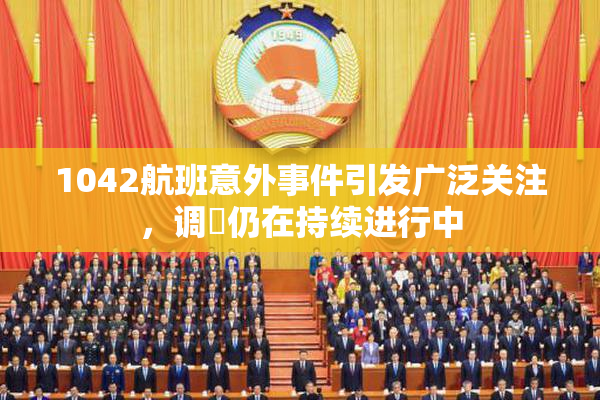 1042航班意外事件引发广泛关注，调査仍在持续进行中