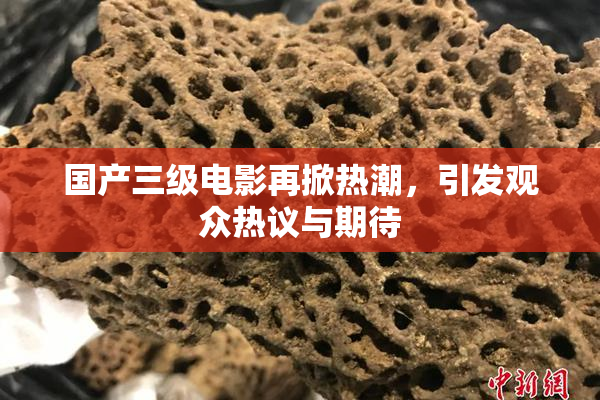 国产三级电影再掀热潮，引发观众热议与期待