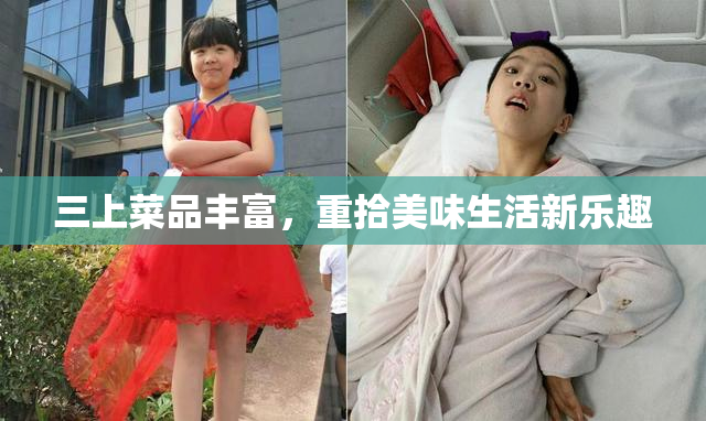 三上菜品丰富，重拾美味生活新乐趣