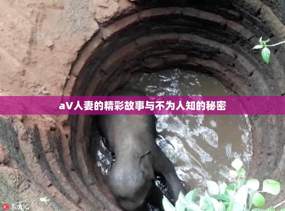 aV人妻的精彩故事与不为人知的秘密