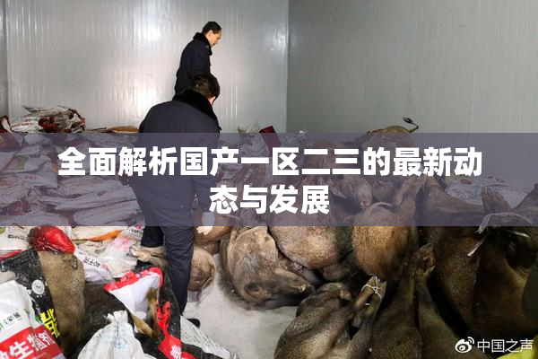 全面解析国产一区二三的最新动态与发展