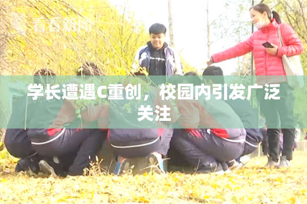 学长遭遇C重创，校园内引发广泛关注