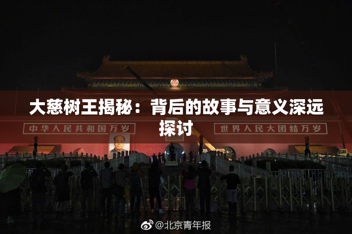 大慈树王揭秘：背后的故事与意义深远探讨