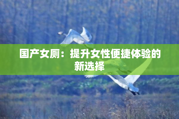 国产女厕：提升女性便捷体验的新选择