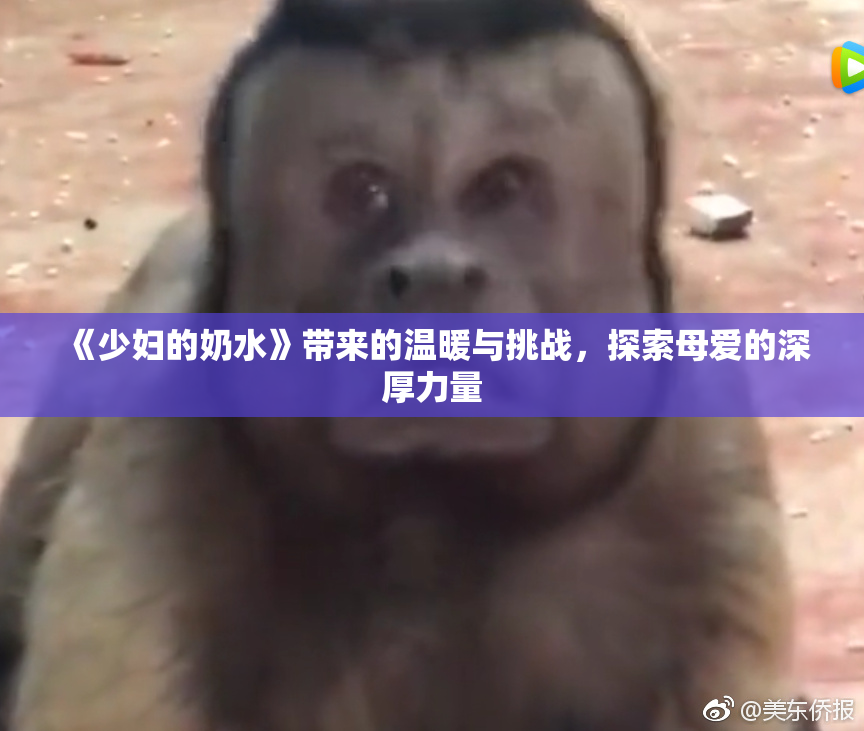 《少妇的奶水》带来的温暖与挑战，探索母爱的深厚力量