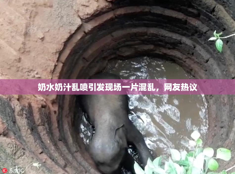 奶水奶汁乱喷引发现场一片混乱，网友热议