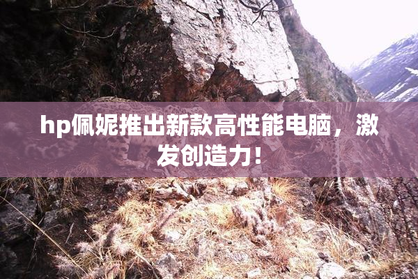 hp佩妮推出新款高性能电脑，激发创造力！