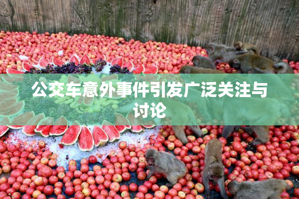 公交车意外事件引发广泛关注与讨论