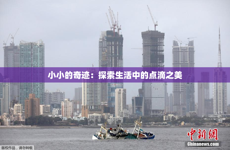 小小的奇迹：探索生活中的点滴之美