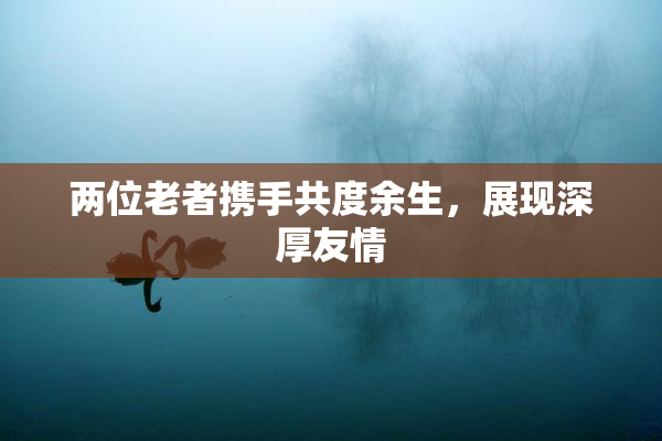 两位老者携手共度余生，展现深厚友情