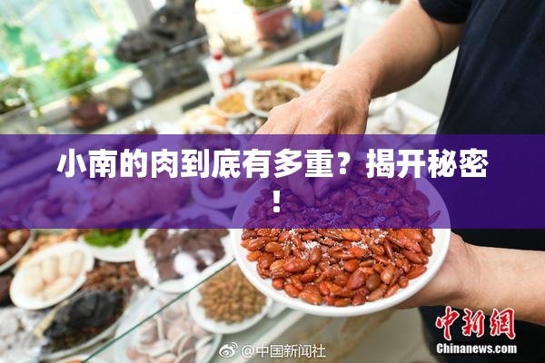 小南的肉到底有多重？揭开秘密！