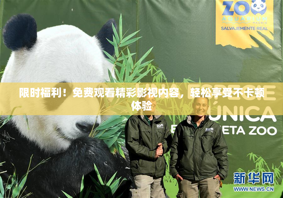 限时福利！免费观看精彩影视内容，轻松享受不卡顿体验