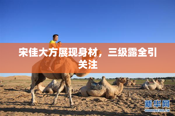 宋佳大方展现身材，三级露全引关注