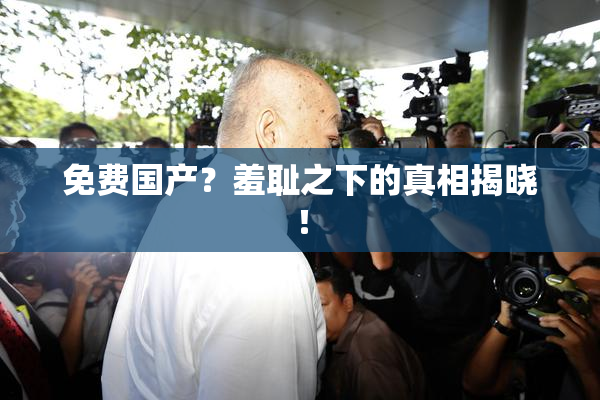 免费国产？羞耻之下的真相揭晓！