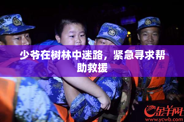 少爷在树林中迷路，紧急寻求帮助救援