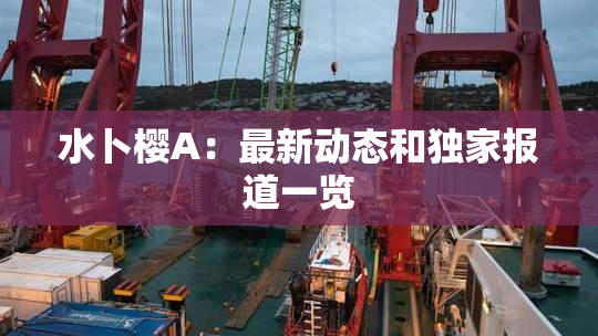 水卜樱A：最新动态和独家报道一览