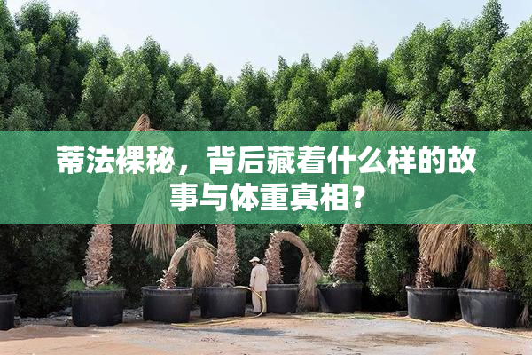 蒂法裸秘，背后藏着什么样的故事与体重真相？