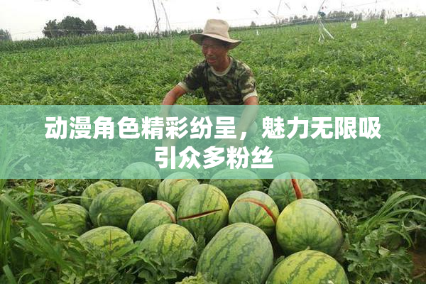 动漫角色精彩纷呈，魅力无限吸引众多粉丝