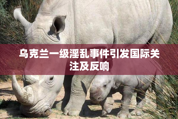 乌克兰一级淫乱事件引发国际关注及反响