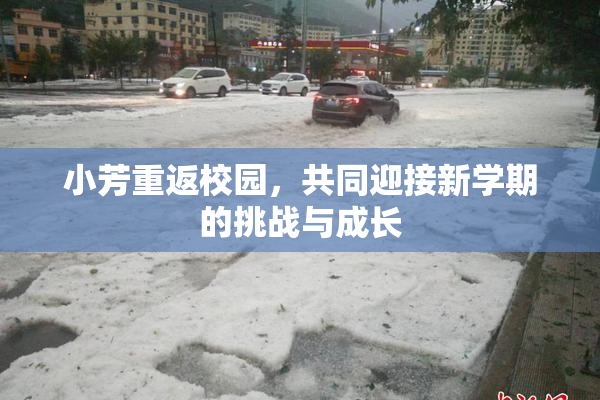 小芳重返校园，共同迎接新学期的挑战与成长