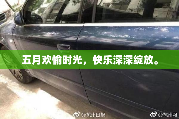 五月欢愉时光，快乐深深绽放。