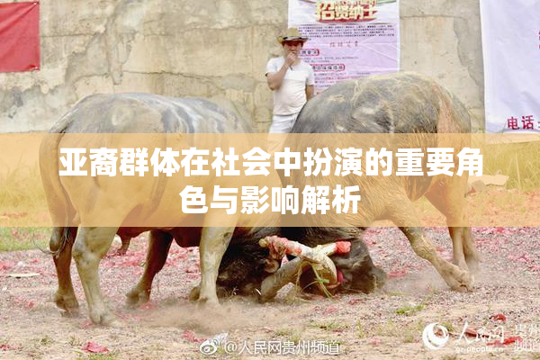 亚裔群体在社会中扮演的重要角色与影响解析