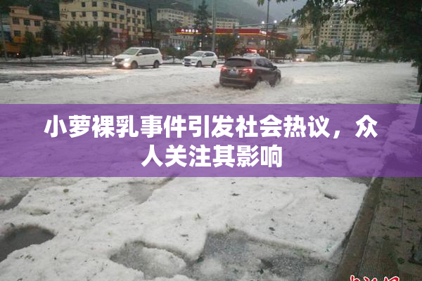 小萝裸乳事件引发社会热议，众人关注其影响