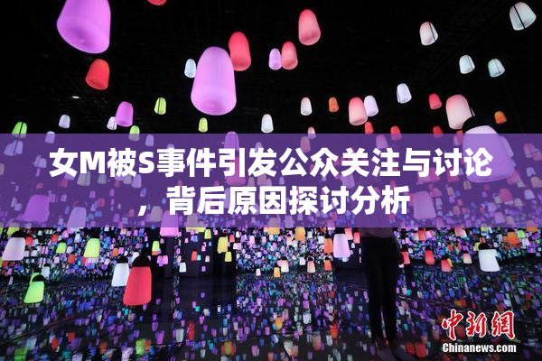 女M被S事件引发公众关注与讨论，背后原因探讨分析