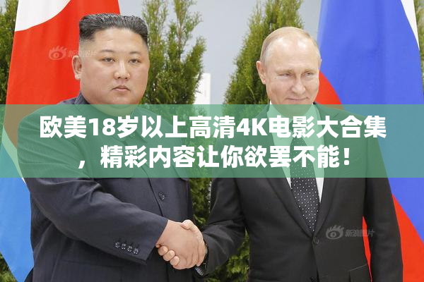 欧美18岁以上高清4K电影大合集，精彩内容让你欲罢不能！