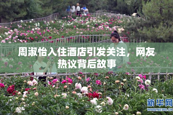 周淑怡入住酒店引发关注，网友热议背后故事