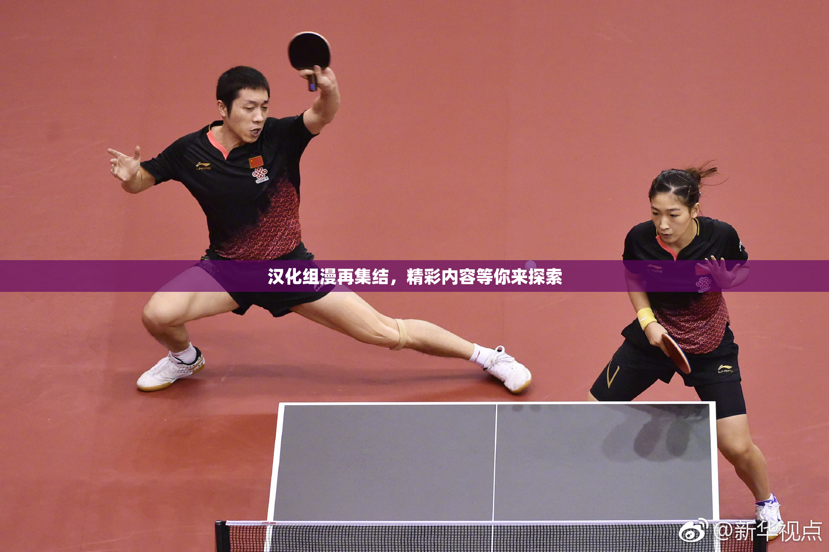 汉化组漫再集结，精彩内容等你来探索