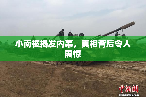 小南被揭发内幕，真相背后令人震惊