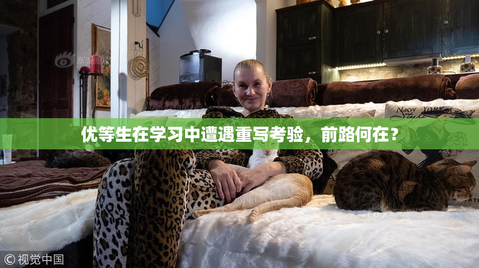 优等生在学习中遭遇重写考验，前路何在？