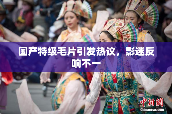 国产特级毛片引发热议，影迷反响不一