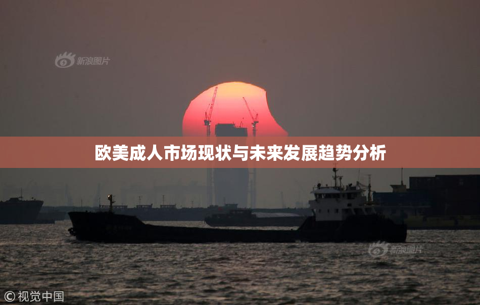 欧美成人市场现状与未来发展趋势分析