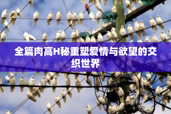 全篇肉高H秘重塑爱情与欲望的交织世界