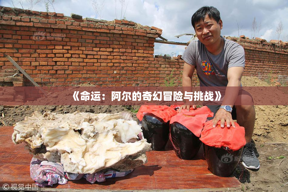 《命运：阿尔的奇幻冒险与挑战》