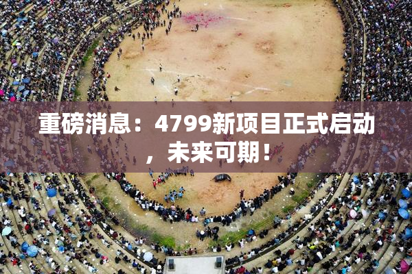 重磅消息：4799新项目正式启动，未来可期！