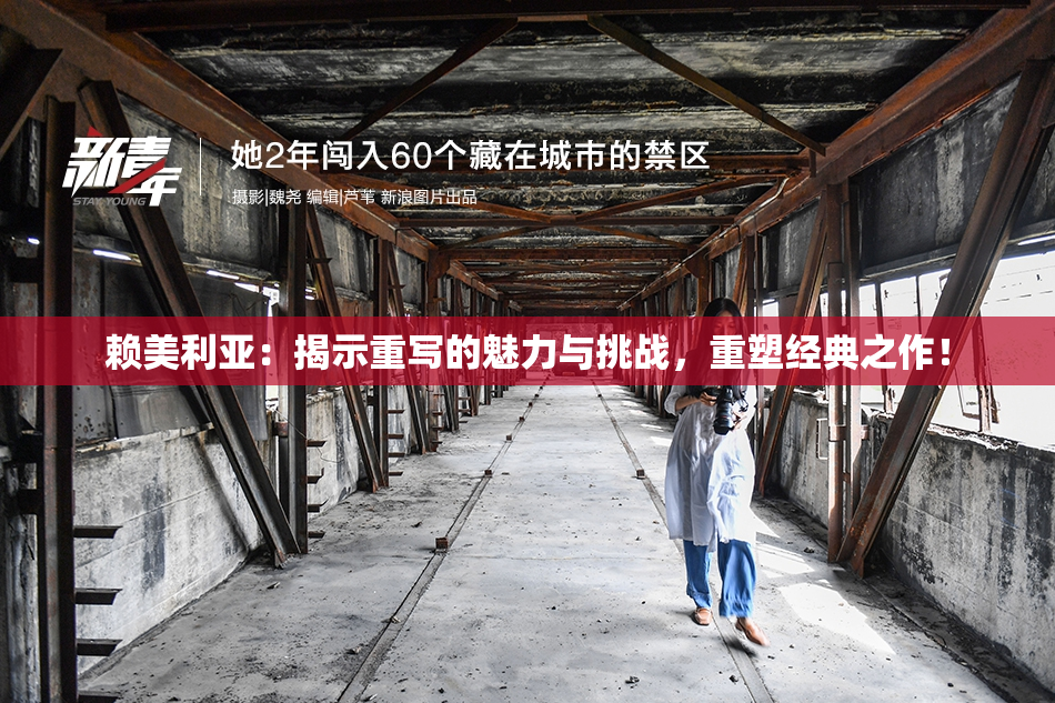 赖美利亚：揭示重写的魅力与挑战，重塑经典之作！