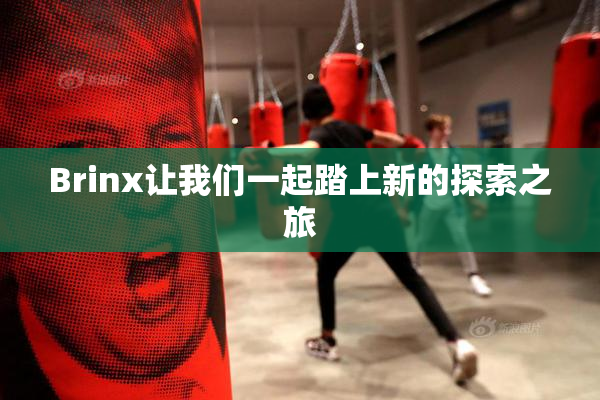 Brinx让我们一起踏上新的探索之旅