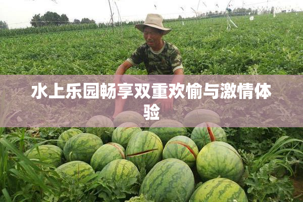 水上乐园畅享双重欢愉与激情体验